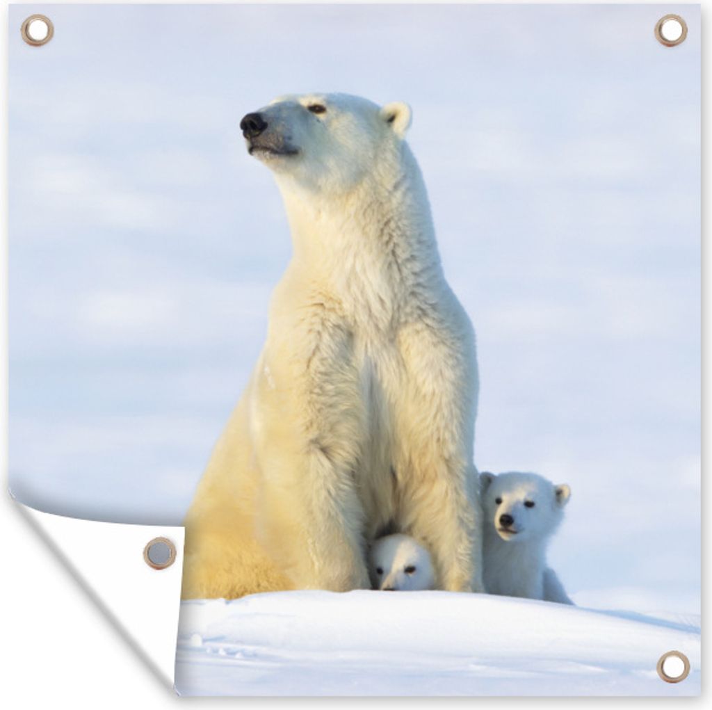 MuchoWow 100x100 cm Outdoor-Poster Gartendeko Sichtschutz Garten Poster für den Garten Eisbär - Schnee - Jungtiere