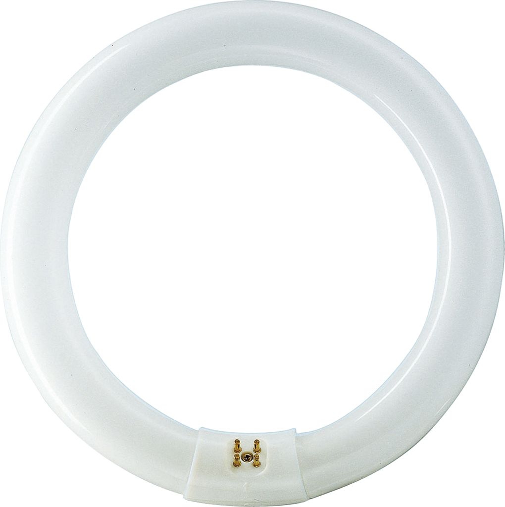 A circular fluorescent light bulb against a white background.