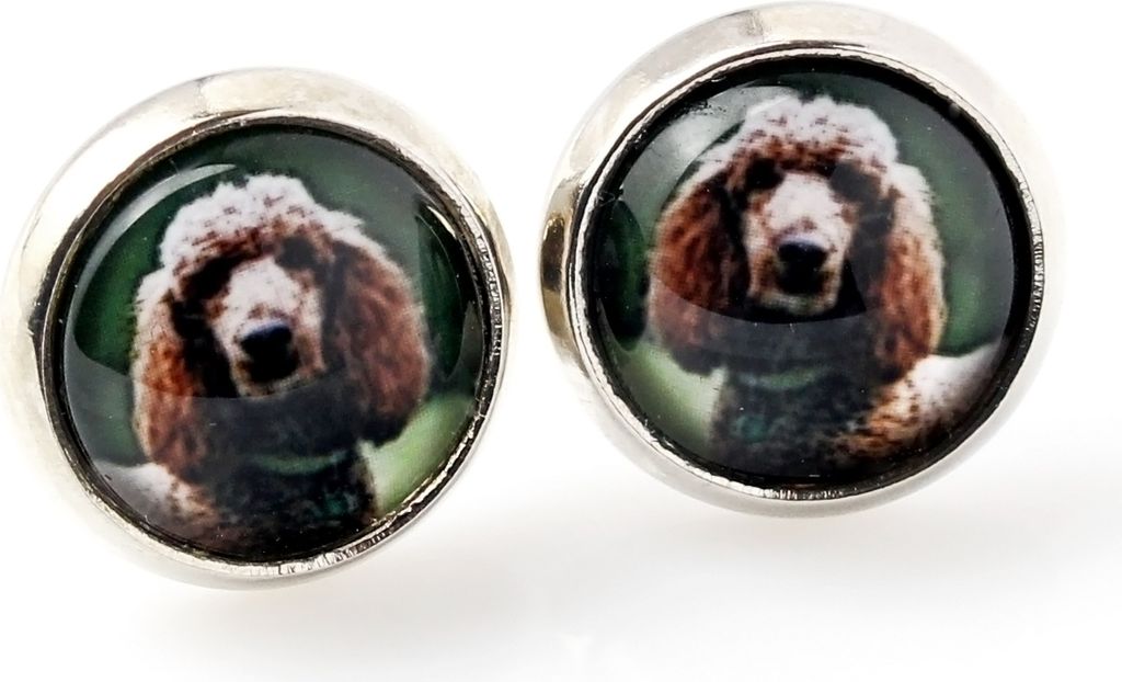 Pudel - Ohrringe in einer Schachtel, Ihr Foto, handgefertigter Schmuck, Eigenmarke von Art-Dog.