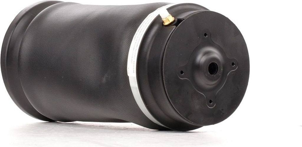 RIDEX 4118A0014 Luftfederbein Stoßdämpfer Vorne Rechts passend für MERCEDES-BENZ E-Klasse Limousine (W211) E-Klasse T-modell (S211) CLS (C219)