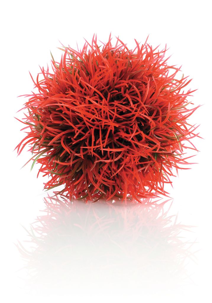 biOrb Gewächsball rot (46063)