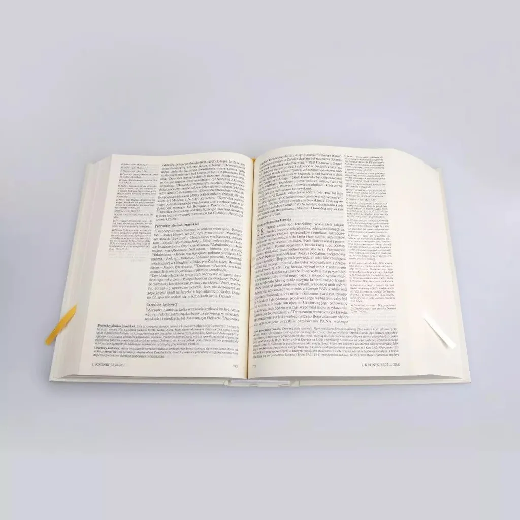 Écritures Saintes ST et NT reliure blanche résistante et texte lisible