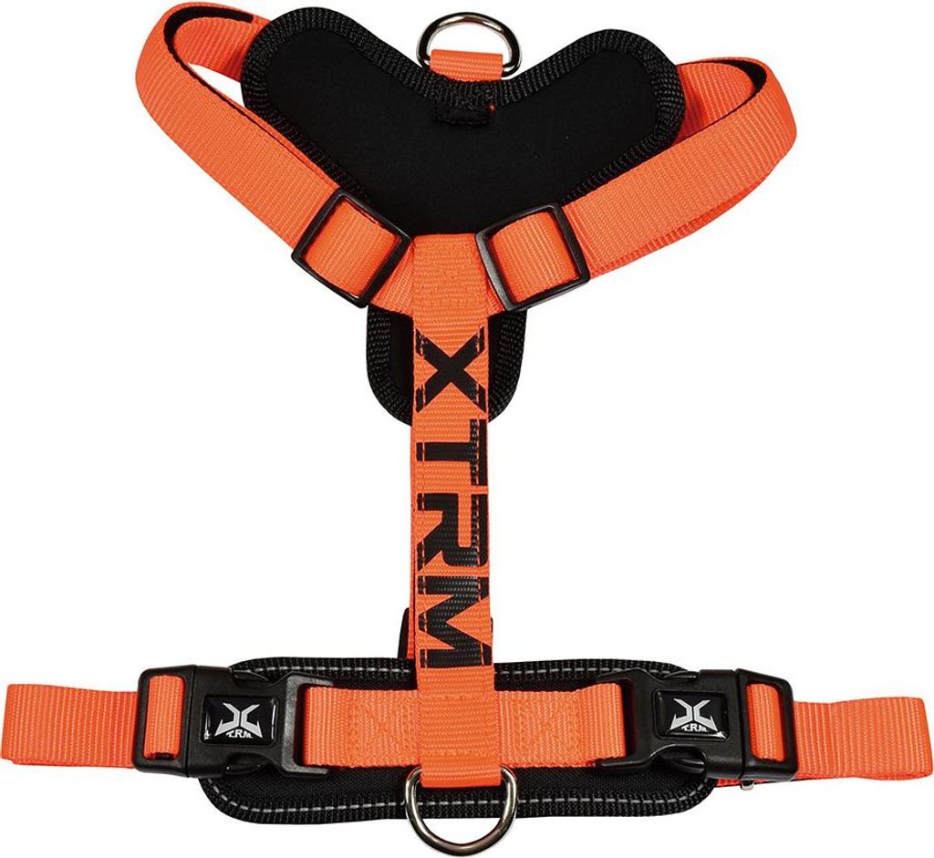 X-trm Cronos Neon Blitz Orange Geschirr, T-m 20 mm x 46-75 cm
