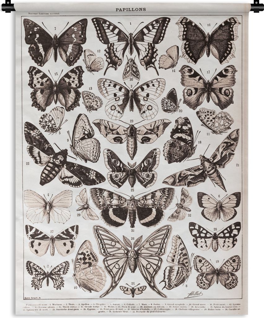 MuchoWow Wandteppich Wandbehang Schmetterling - Tiere - Schwarz - Weiß 120x160 cm Tapisserie Dekoration Wandtuch - Wohnzimmer - Moderne