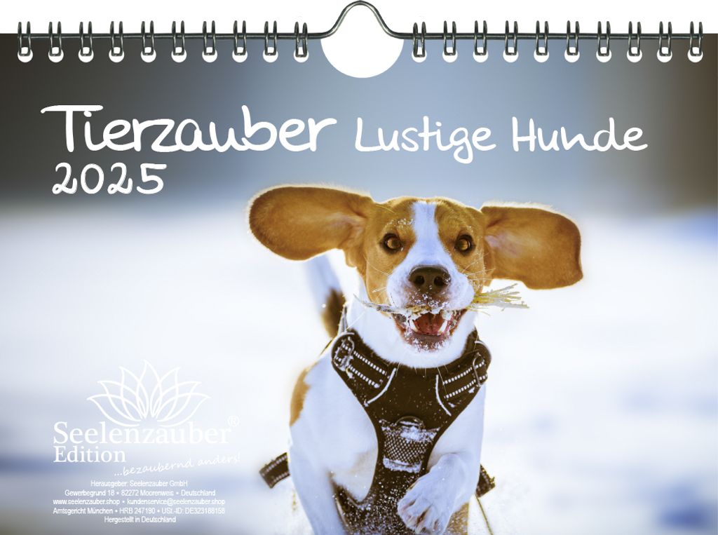 Tierzauber Lustige Hunde DIN A5 Kalender für 2025 Welpen und Hunde - Seelenzauber