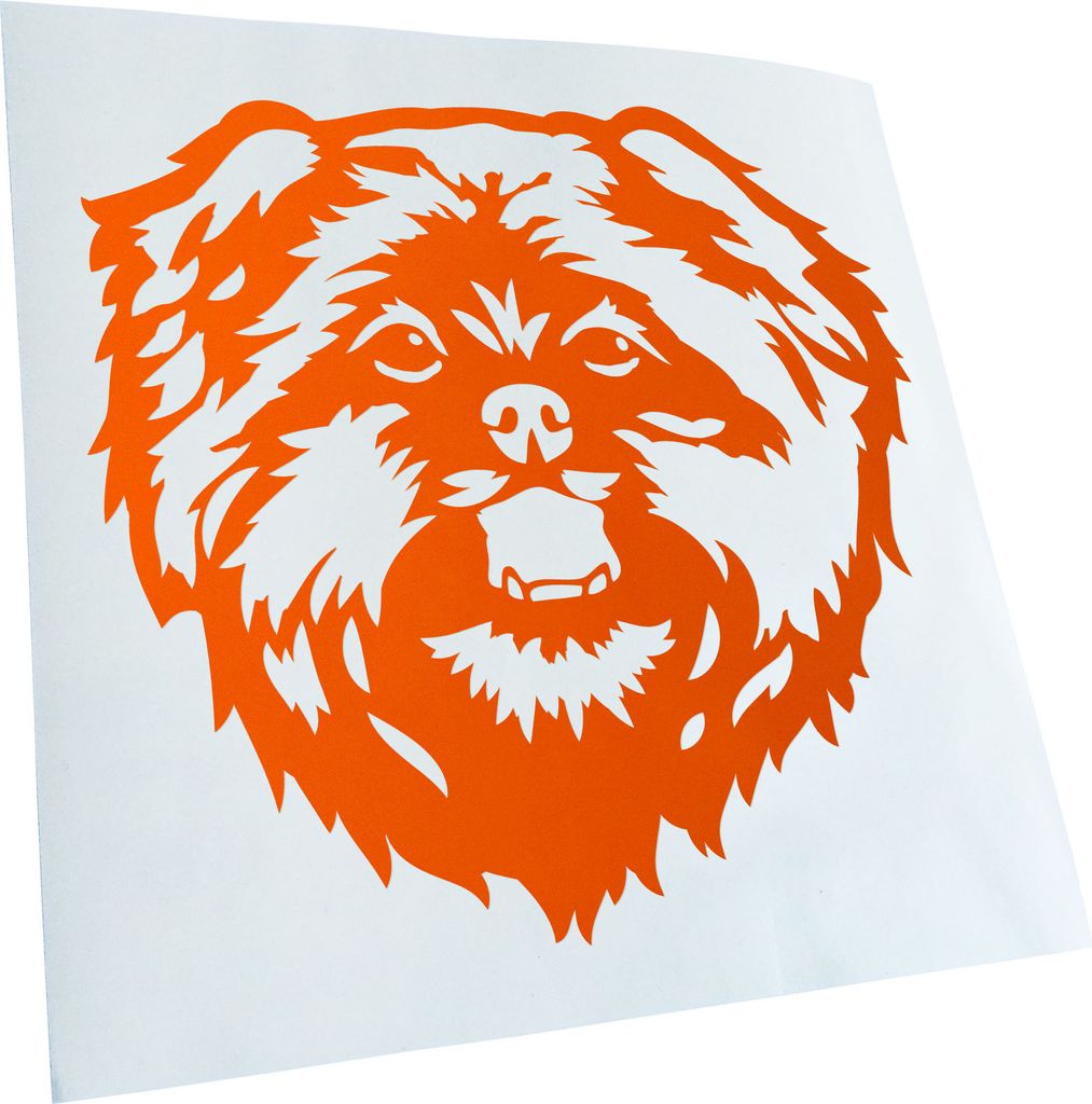 Kiwistar - Autoaufkleber - Affenpinscher Hund - Orange - 40x36cm - Aufkleber für Auto, Laptop, Fahrrad, LKW, Motorrad mehrfarbig JDM Decal Racing