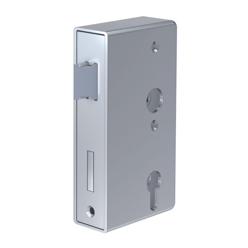 BASI - Schlosskasten - SK 990 - Dornmaß: 60 - Stulpbreite: 30 mm - 2-tourig - R/L verwendbar - 9900-3020