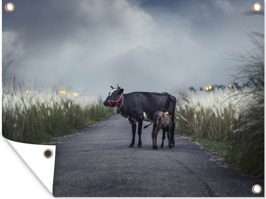 MuchoWow 80x60 cm Outdoor-Poster Gartendeko Sichtschutz Garten Poster für den Garten Kuh mit Kalb