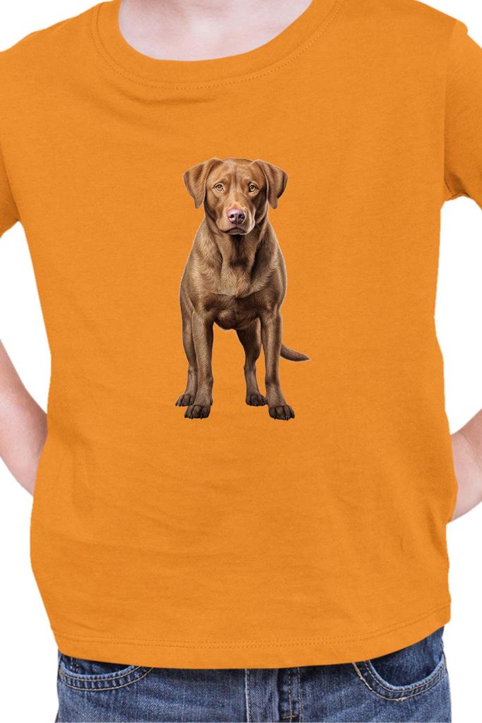 Kinder T-Shirt Dogs Breeds Chesapeake Bay Retriever Dog Breed 005, 12-13 Jahr - 152 / Orange