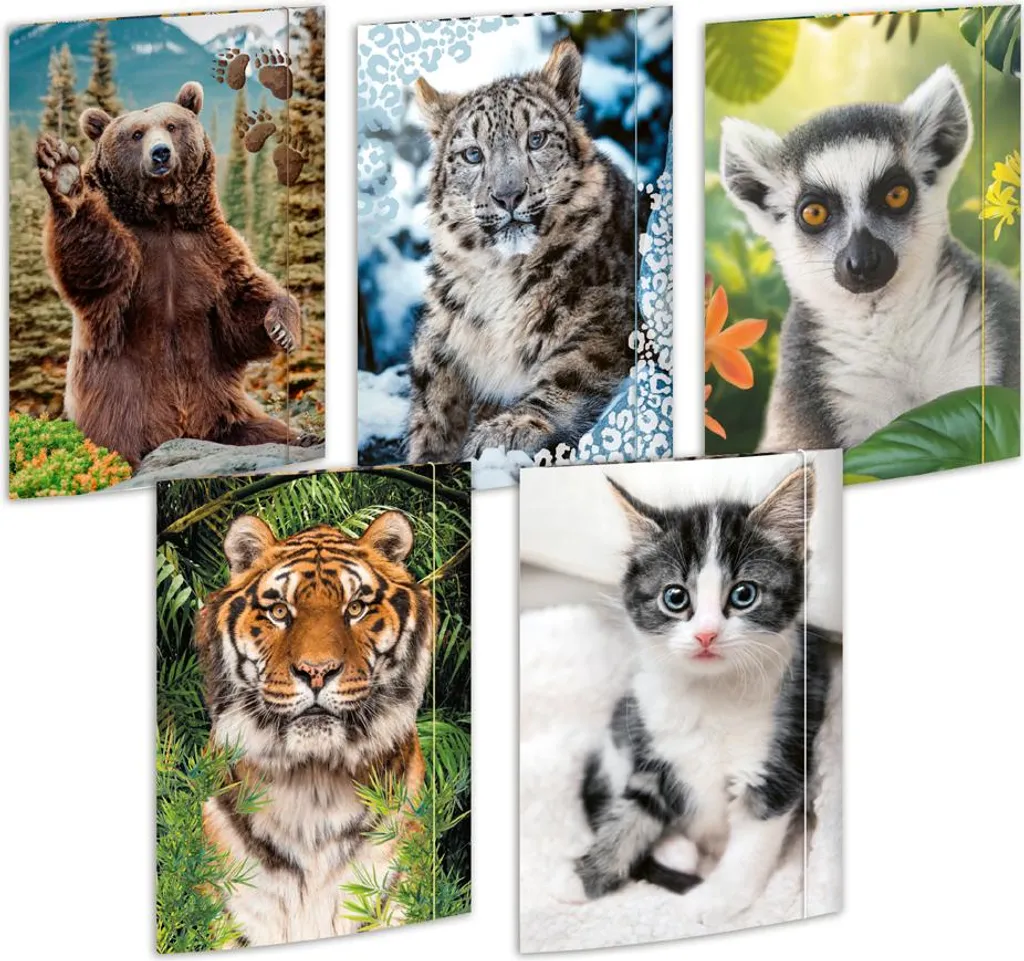 Chemise à Dessin A3 Animaux RNK Verlag Portfolio Carton Rigide