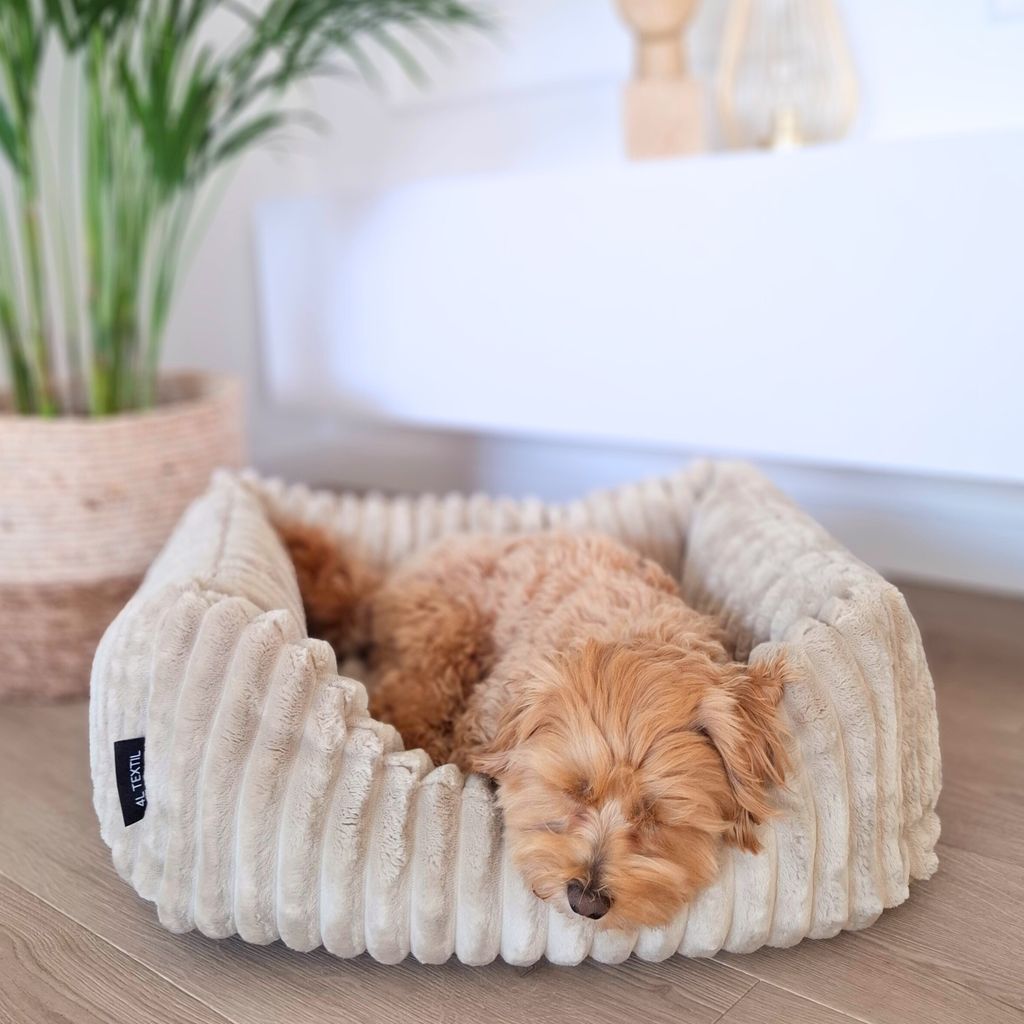 4L Textil BELLA Plüsch-Hundebett PREMIUM-LINE (60x40 cm, Produktbild 