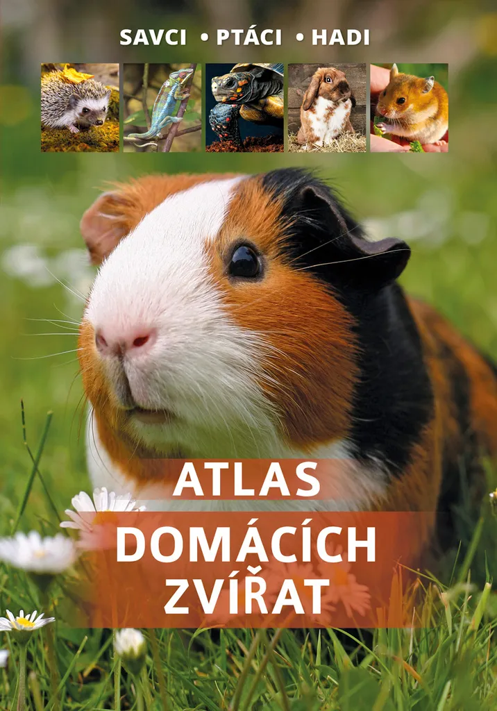 Atlas des animaux domestiques de Jarmila Horáková pour passionnés