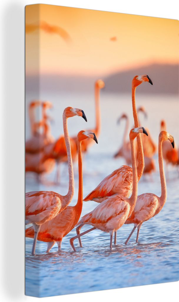 OneMillionCanvasses - Leinwandbilder - 90x140 cm, Flamingo - Tiere - Wasser - Rosa, Wandbilder Kunstdruck Wanddekoration - Foto auf Leinwand - Ge...