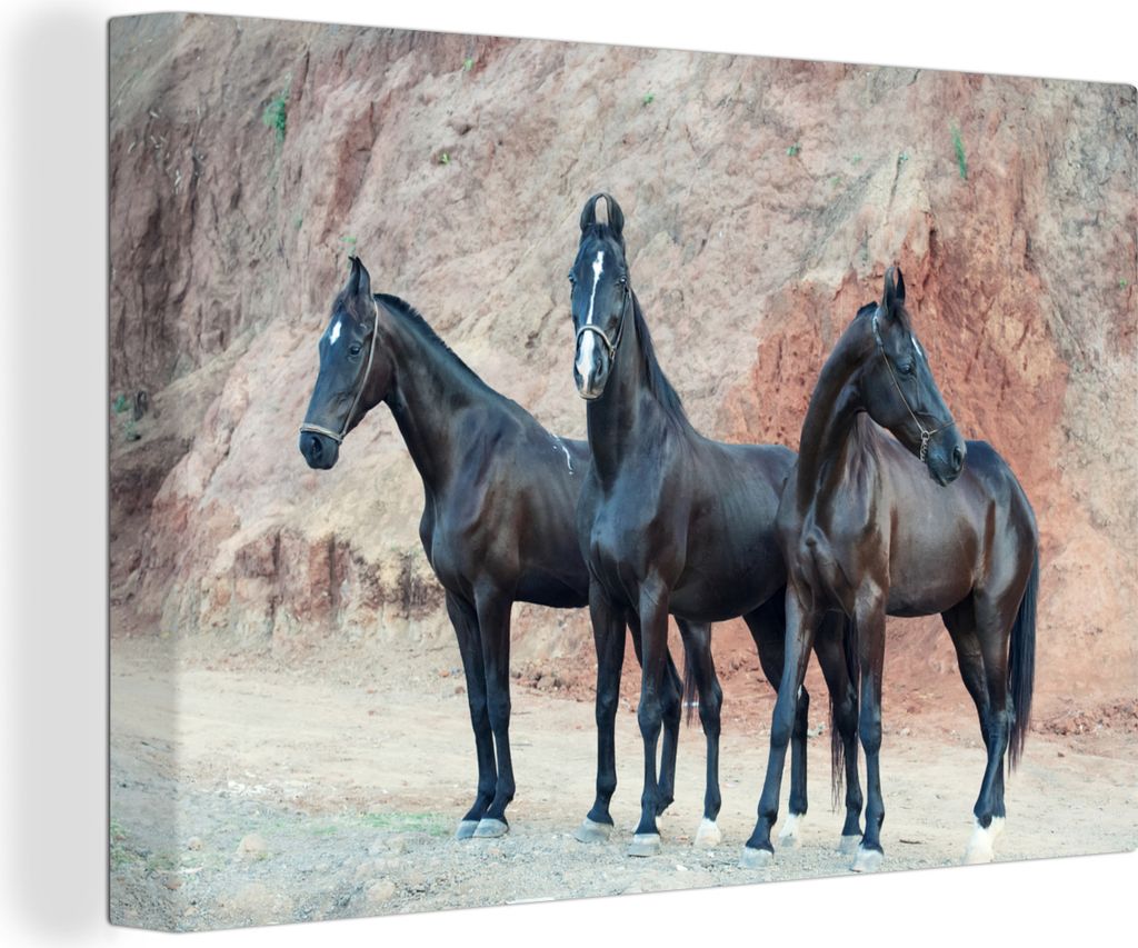 OneMillionCanvasses - Leinwandbilder - 140x90 cm, Marwari - Felsen - Schwarz, Wandbilder Kunstdruck Wanddekoration