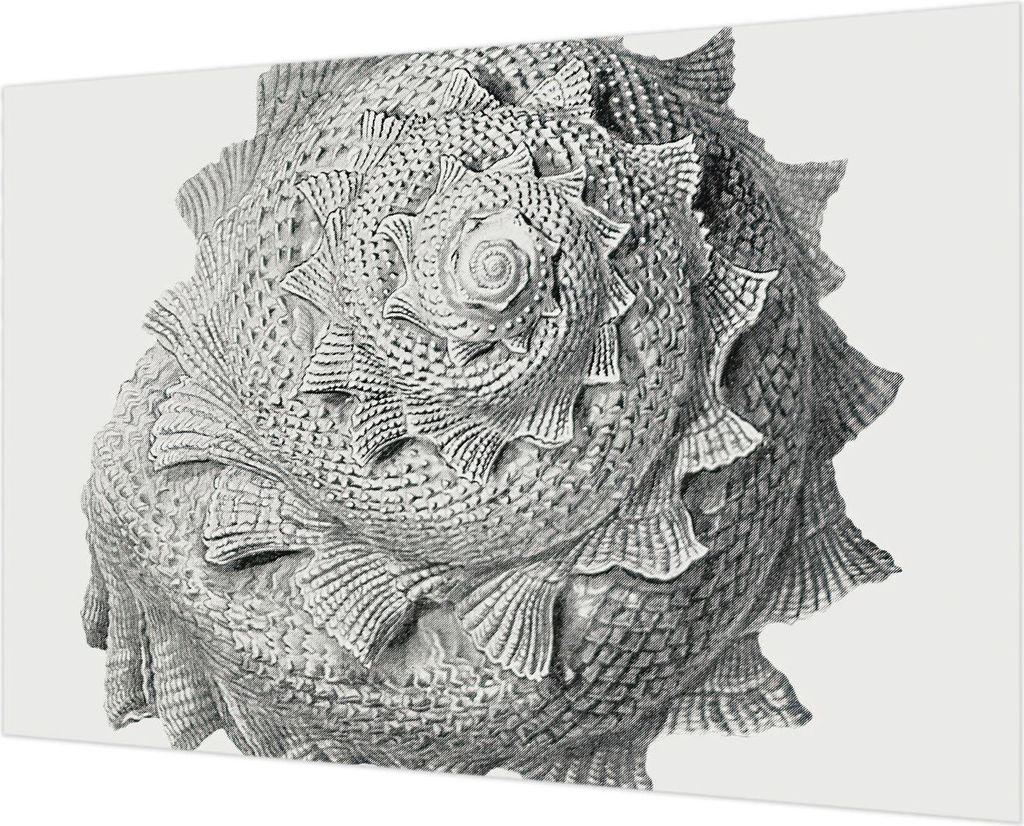 Wandtapete - Dekorative Tapete für Wohnzimmer - Tapetenfolie für Wanddekoration - 152x104 cm - Die Kunst der Natur