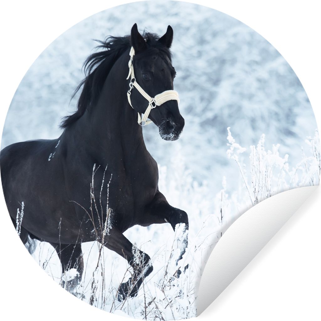 MuchoWow Runde Wandtattoo - Wandsticker Tapete Aufkleber Pferd - Schnee - Winter Ø 30 cm Selbstklebend und Repositionierbar - Wandaufkleber - Kr...
