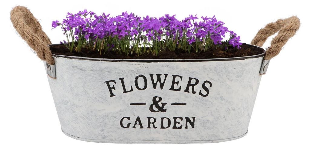 Pflanzentopf/Blumentopf Teil Jardin - oval - Zink - weis - Produktbild 