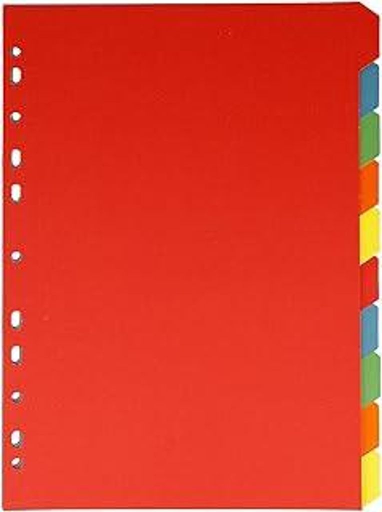 Register für Ordner A4 | Trennblätter für Din A4 Ordner | 10 farbige Tabs in 5 Farben als Ordner Organizer | Robuste 160g/m² mit Eurolochung | ...