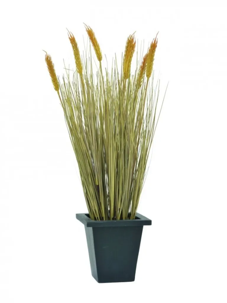Europalms Grano Decorativo 60cm - Pianta Artificiale di Design