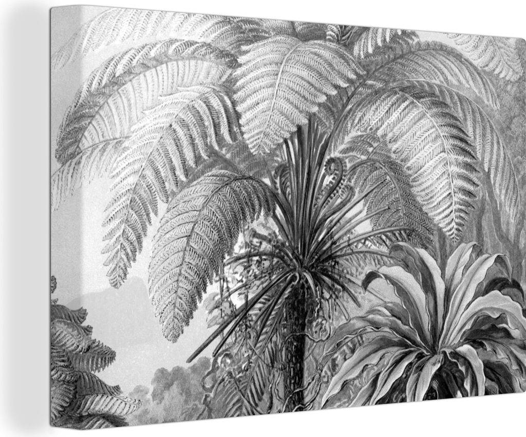 OneMillionCanvasses - Leinwandbilder - 150x100 cm, Pflanzen - Schwarz und weiß - Design - Illustration - Botanisch, Wandbilder Kunstdruck Wandde...