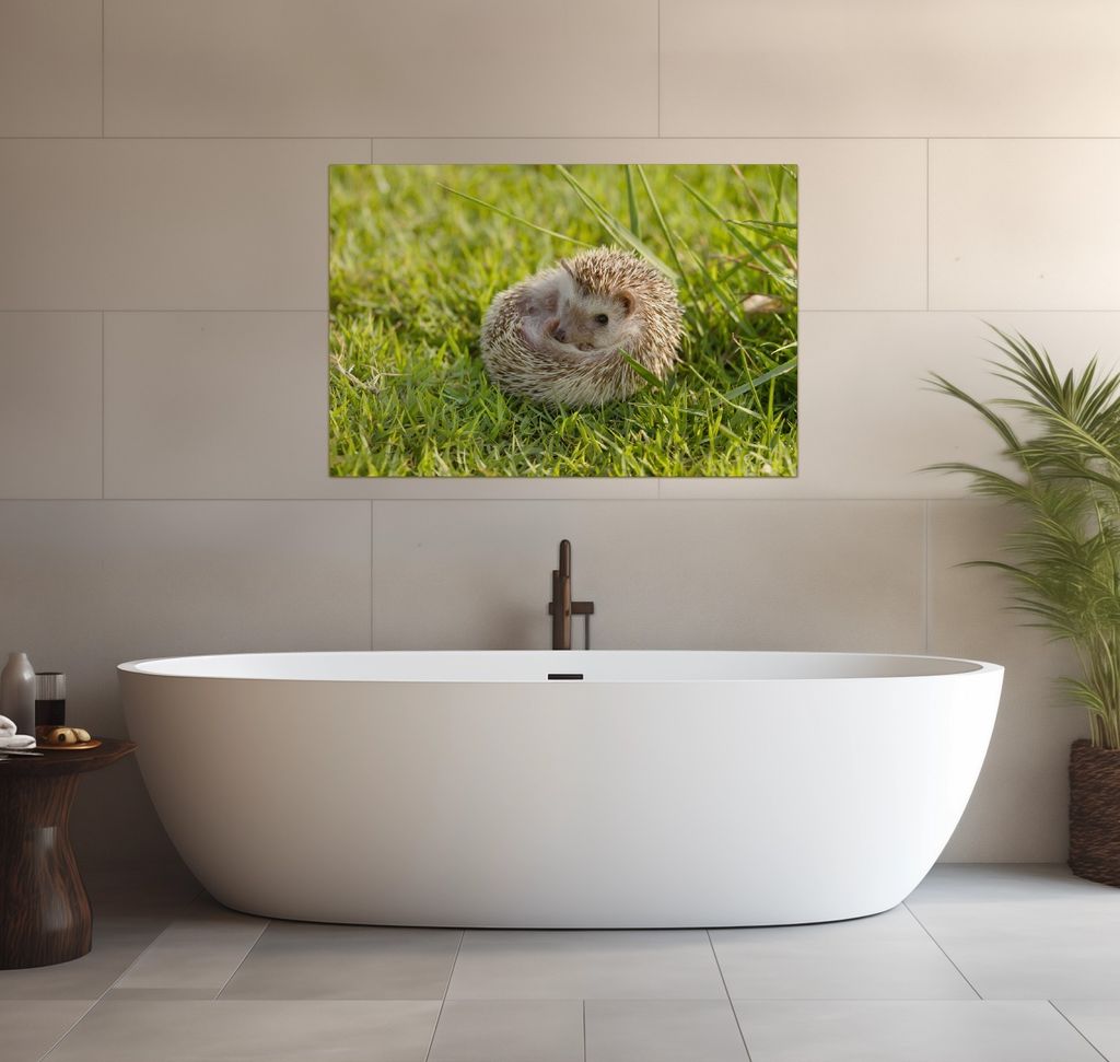 Wallario wasserfestes Poster selbstklebend 91,50 x 61 cm, Eingerollter Igel im Gras, Badezimmerposter Spritzschutz mit Hochglanzoberfläche in Glas...