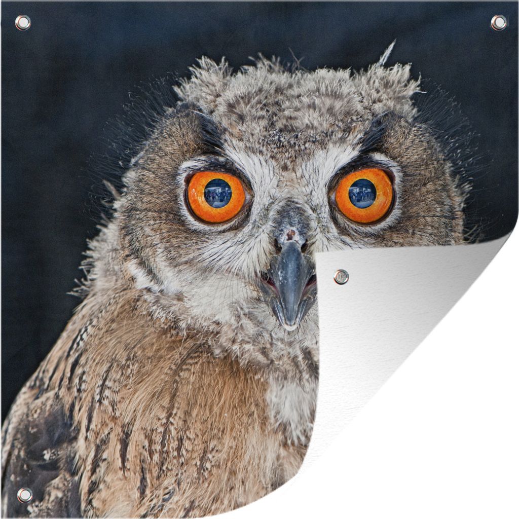 MuchoWow 50x50 cm Outdoor-Poster Gartendeko Sichtschutz Garten Poster für den Garten Nahaufnahme einer Waldohreule