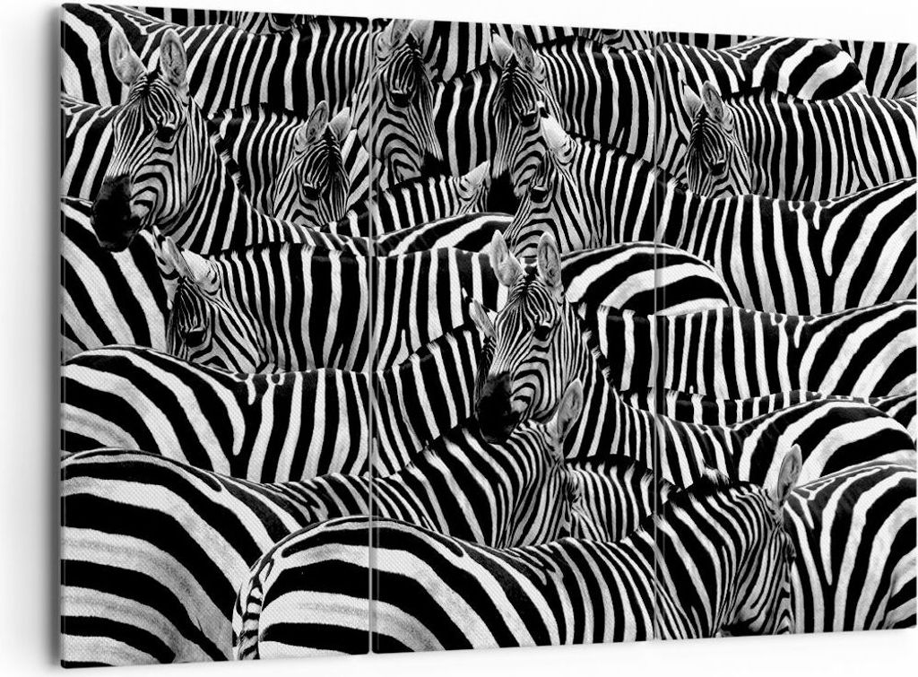 Bild auf Leinwand - Leinwandbild - Tiere Zebra Streifen - 165x110cm - Wand Bild - Wanddeko - Leinwanddruck - Bilder - Kunstdruck - Wanddekoration -...