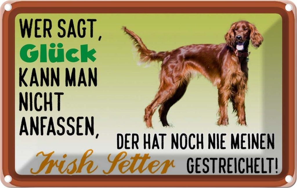 vianmo Blechschild 20x30 cm Glück Irish Setter Hund Tier Haustier
