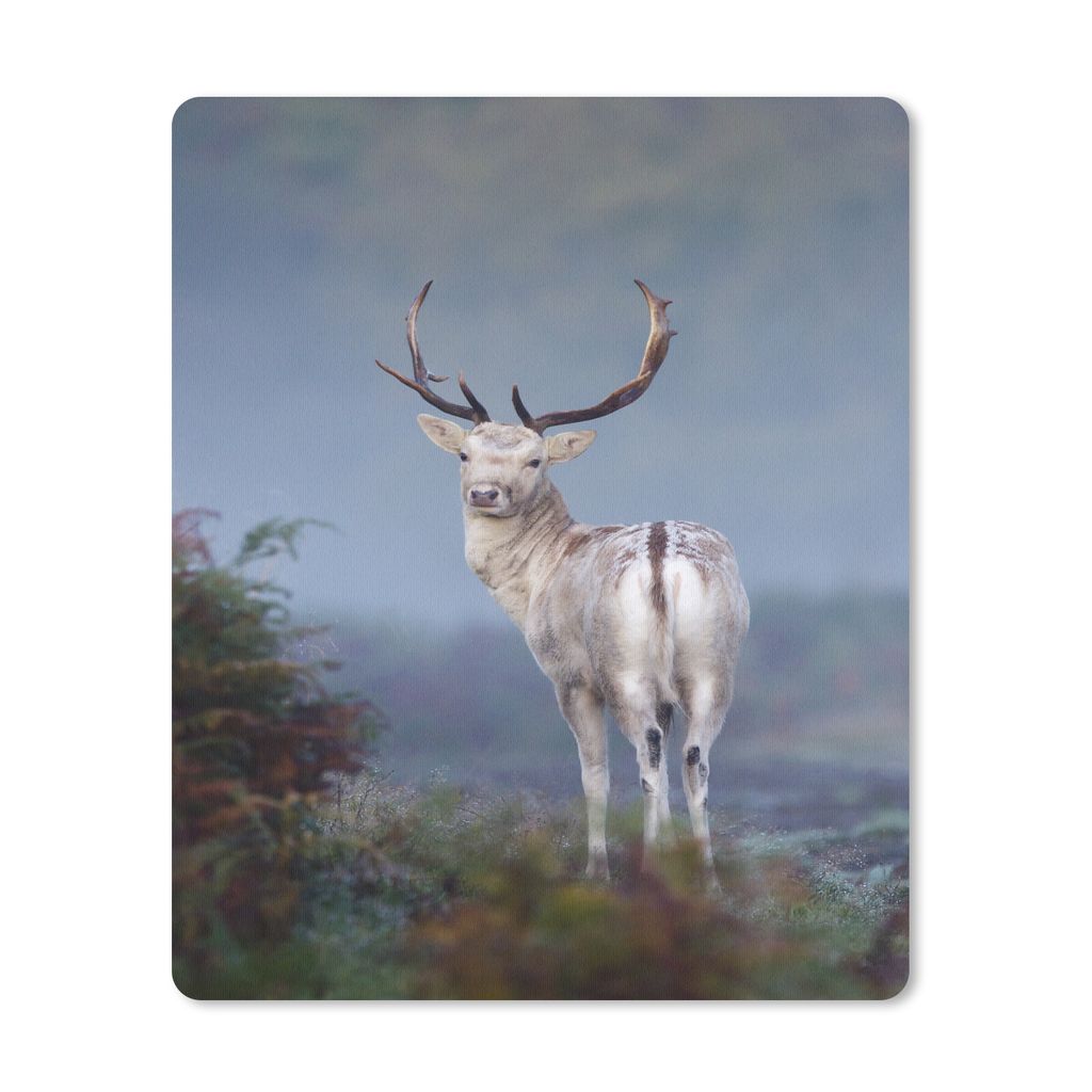 MuchoWow Mauspad Mousepad Hirsche - Wald - Heide 30x40 cm - Mousepads - Maus Mat - Pad - Mausunterlage - Mausmatten
