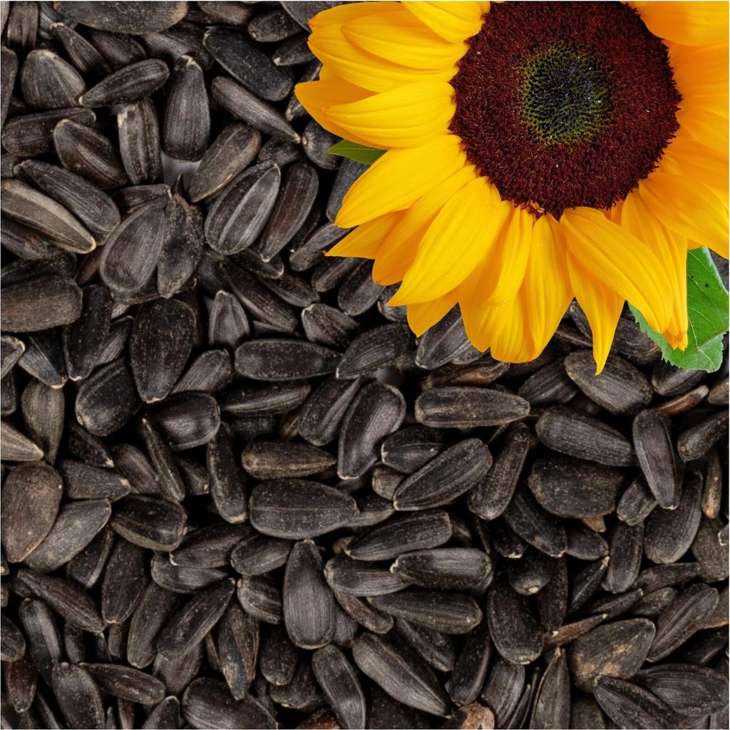 Lyra Pet® 25 kg Sonnenblumenkerne schwarz HK Deutschland Produktbild 9