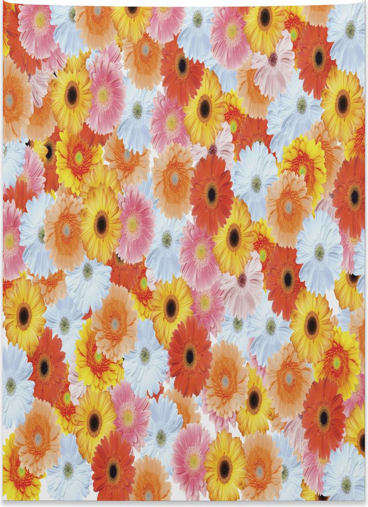 Abakuhaus Gerber Daisy Wandteppich, Realistisches frisches Wachstum aus Weiches Mikrofaser Stoff Kein Verblassen Klare Farben Waschbar, 110 x 150 c...