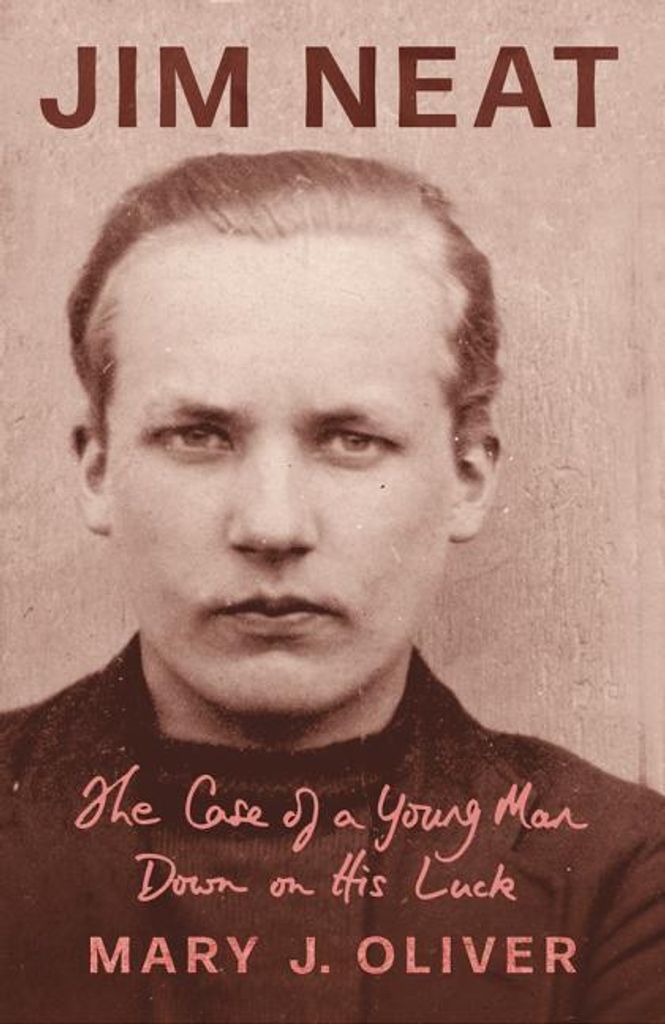 Jim Neat The Case Of A Young Man Down On – Lingua: Inglese