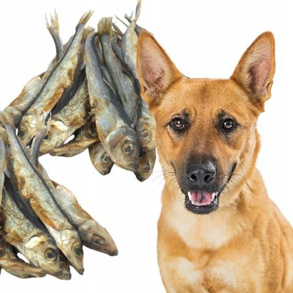 Animille getrocknete Baltische Sprotten 200g Fisch Produktbild 