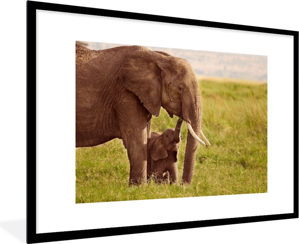 MuchoWow MuchoWow Gerahmtes Poster Elefant - Gras - Jung - Rüssel 90x60 cm - Poster mit zchwarzem Bilderrahmen - Wanddekoration - Fotos