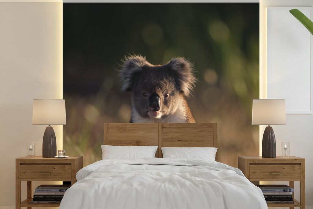MuchoWow Fototapete für Wohnzimmer oder Schlafzimmer Wandtapete Vinyl Motivtapete Koala - Sonne - Tier - Kinder - Jungen - Mädchen - 260x260 cm...