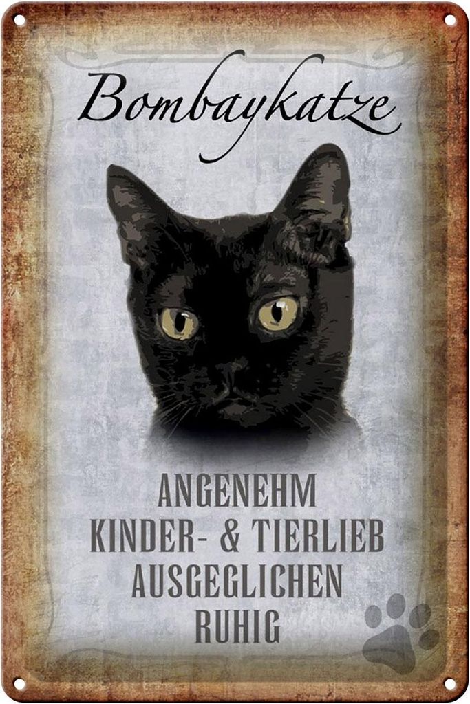 Blechschild Spruch 20x30cm Bombaykatze Katze Schild
