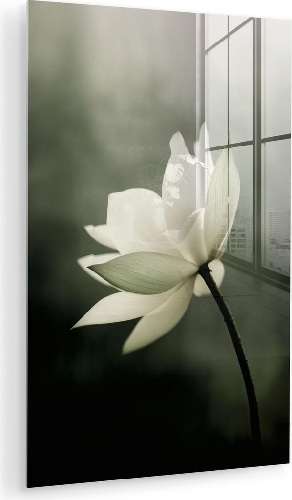 MuchoWow Glasbilder - Bilder auf Wandbild - Foto auf Glas Weiß - Lotus - Dunkel - Blume 40x60 cm Wanddekoration aus Glas - Acrylglasbild - Acrylbi...