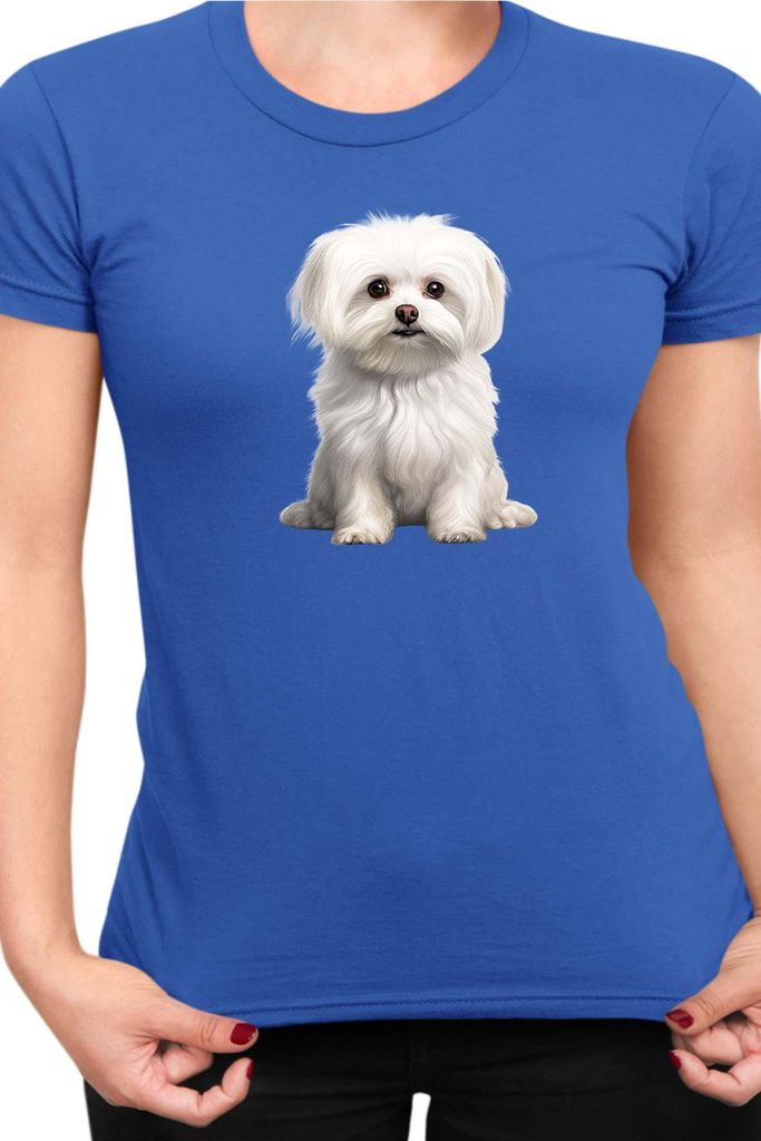 Damen T-Shirt Dogs Breeds Maltese Dog Breed 006, Lady 2XL / Blau