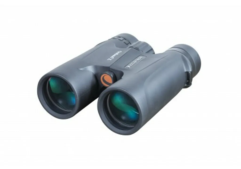 Jumelles Celestron CB71347 pour Randonnée et Observation des Oiseaux