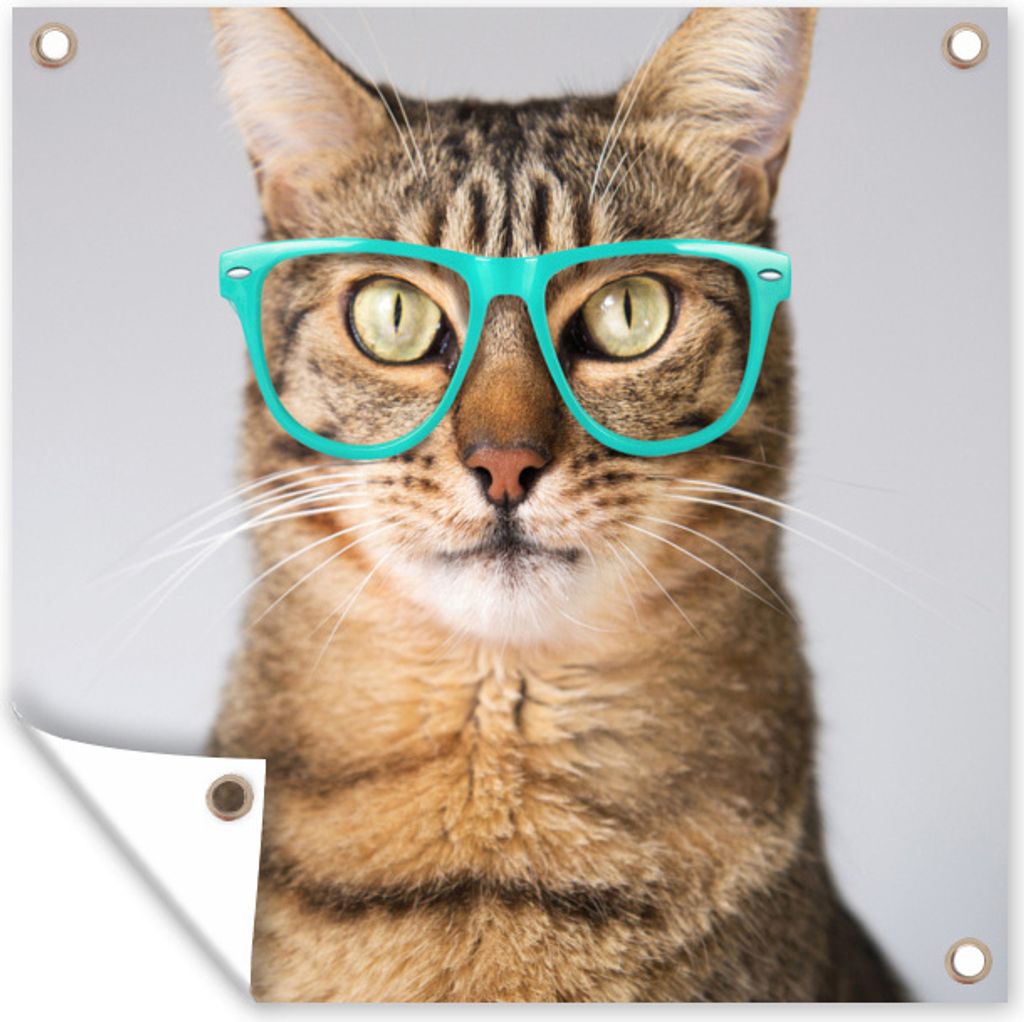 MuchoWow 40x30 cm Outdoor-Poster Gartendeko Sichtschutz Garten Poster für den Garten Eine moderne Katze mit blauer Brille