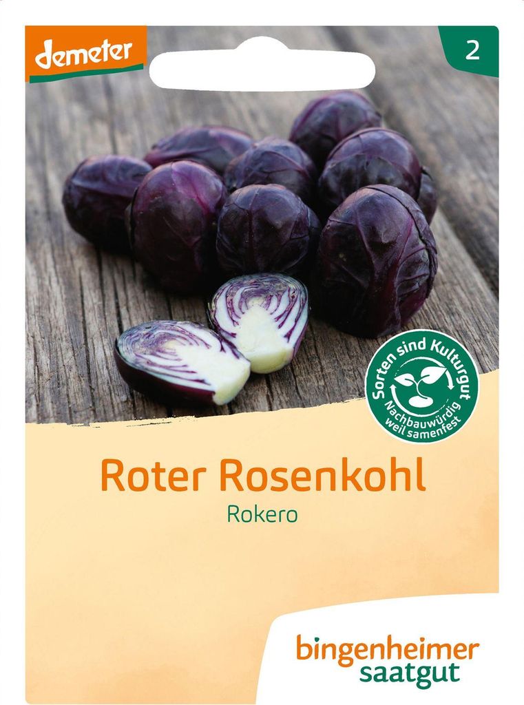 Artikelbild 2 von 'BIO Roter Rosenkohl Rokero' aus der Kategorie Rosenkohlsamen