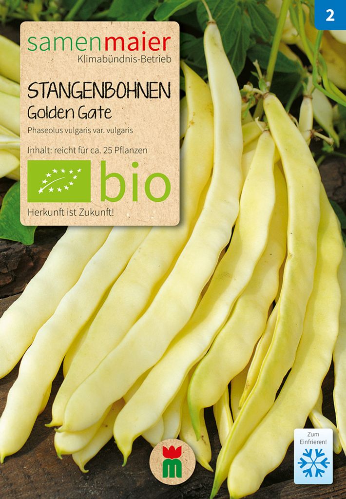 Stangenbohnen Golden Gate - Saatgut für zirka 25 Pflanzen