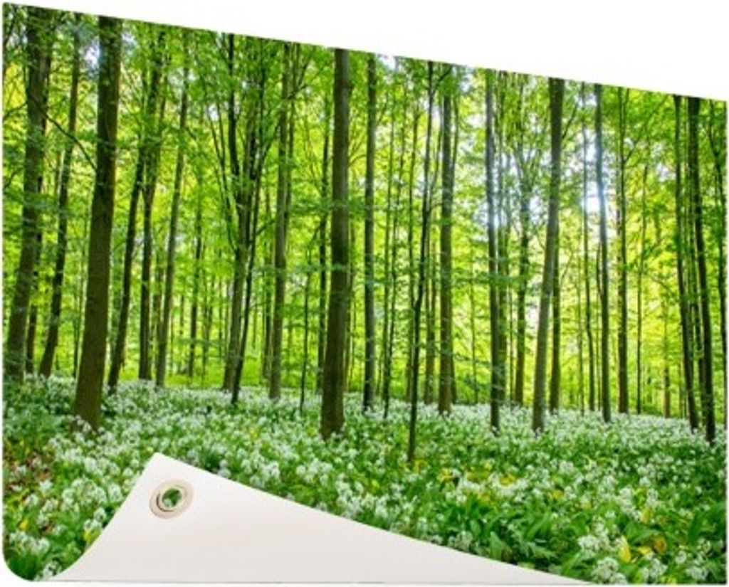 Gartenposter - 60x40 cm - Grüne Bäume im Wald - Modernes Wandbilder - Natur