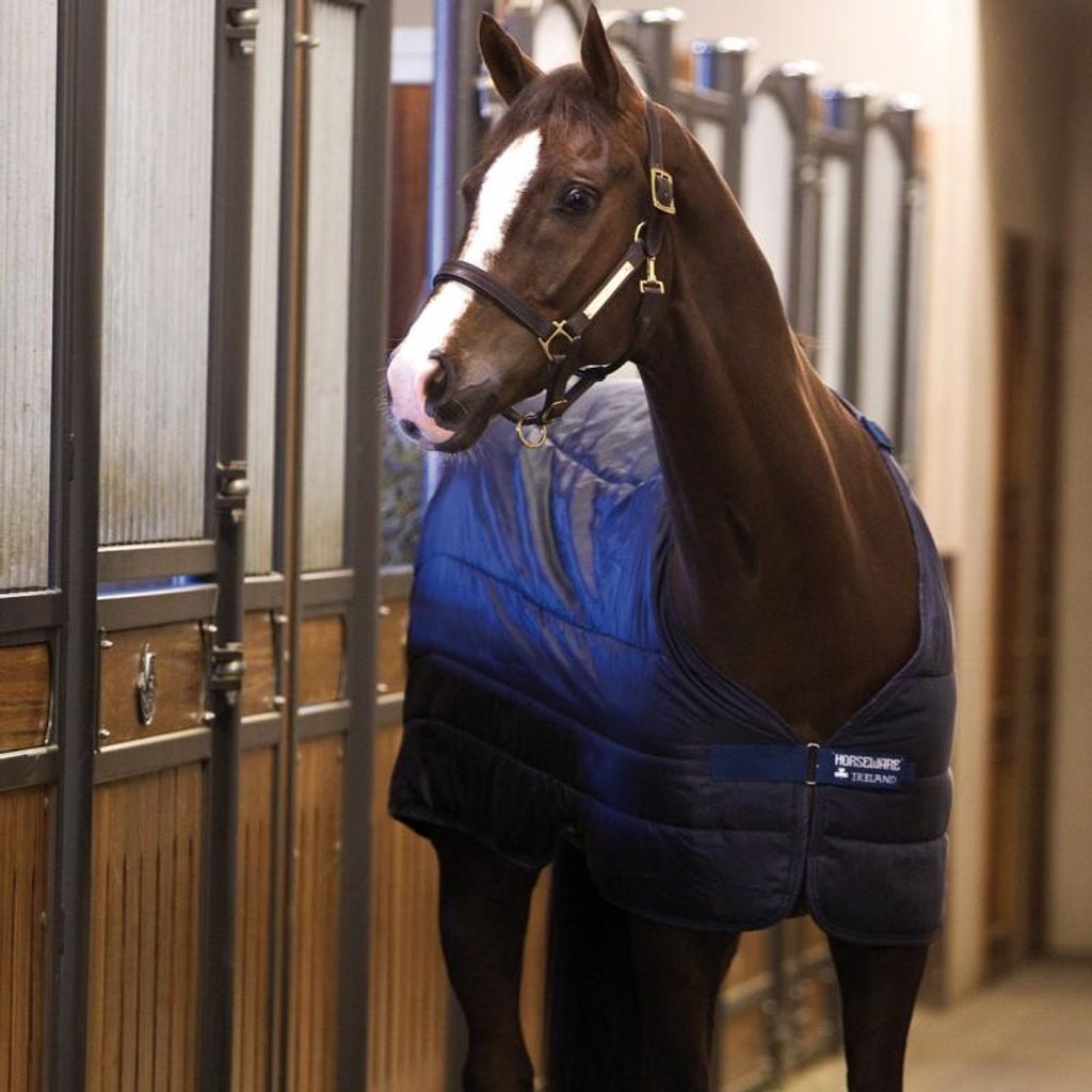 Horseware Liner 400g - Navy, 115