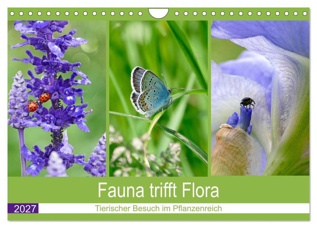 Fauna trifft Flora - Tierischer Besuch im Pflanzenreich (Wandkalender 2027 DIN A4 quer), CALVENDO Monatskalender