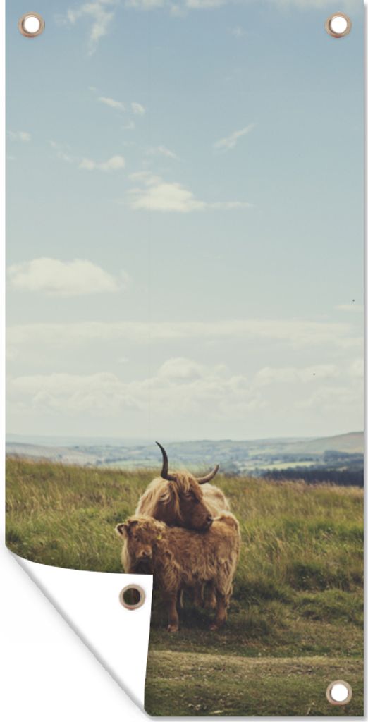 MuchoWow 30x60 cm Outdoor-Poster Gartendeko Sichtschutz Garten Poster für den Garten Schottische Highlander - Gras - Wolken - Tiere
