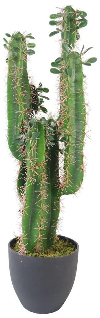 Cactus Artificiel 75 cm pour Déco Bureau et Salon sans Entretien