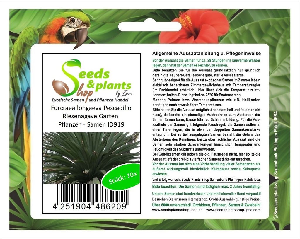 10x Furcraea longaeva Pescadillo Riesenagave Garten Pflanzen - Samen ID919