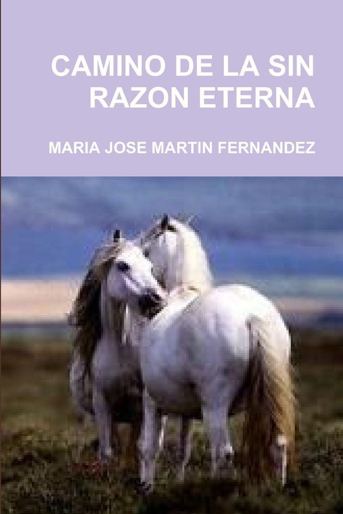 Camino De La Sin Razon Eterna