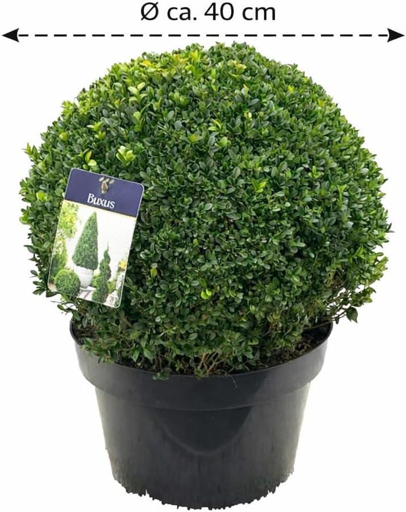 Buchsbaumkugel 40 Cm  Pflegeleichte Knstliche Buxus Kugel Fr Garten,  Terrasse & Balkon